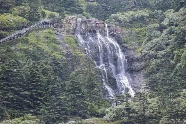逃离阴森的岛屿